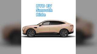 BYD EV 자동차 3020mm 휠베이스 L2 지원 18인치 타이어